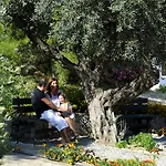 Hotel Porto Angeli